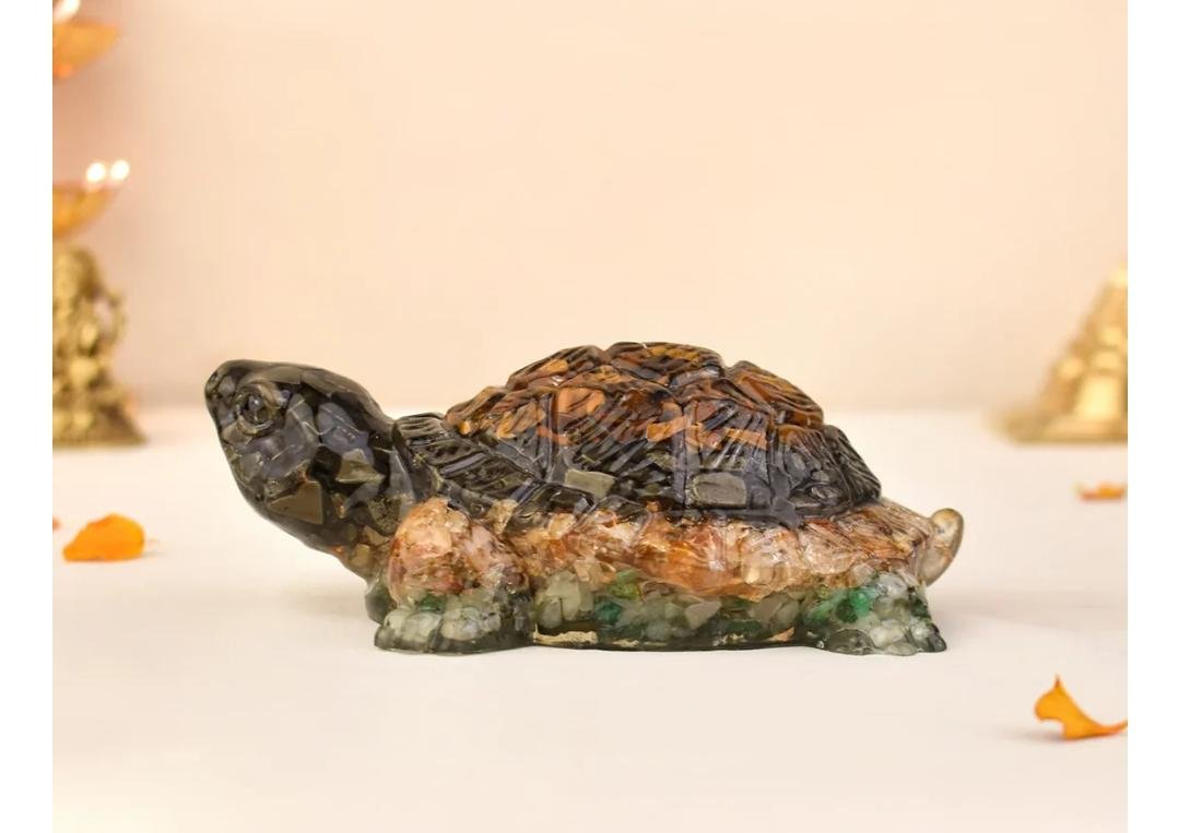 Tortoise