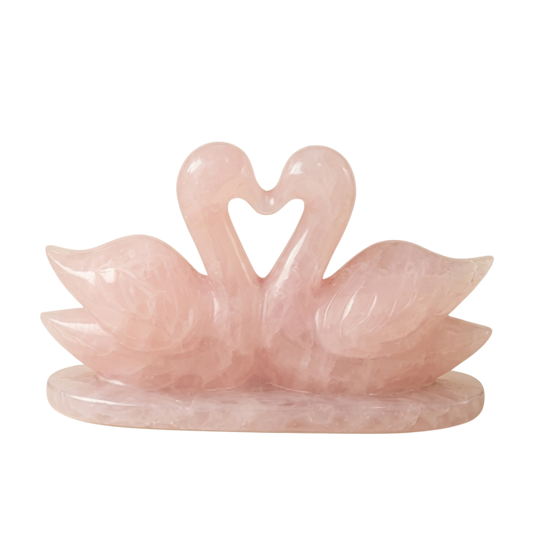 Rose quartz Couple Duck Decor